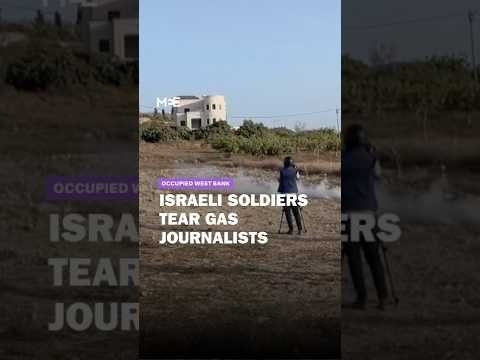 Damage from settler attacks in the occupied West Bank