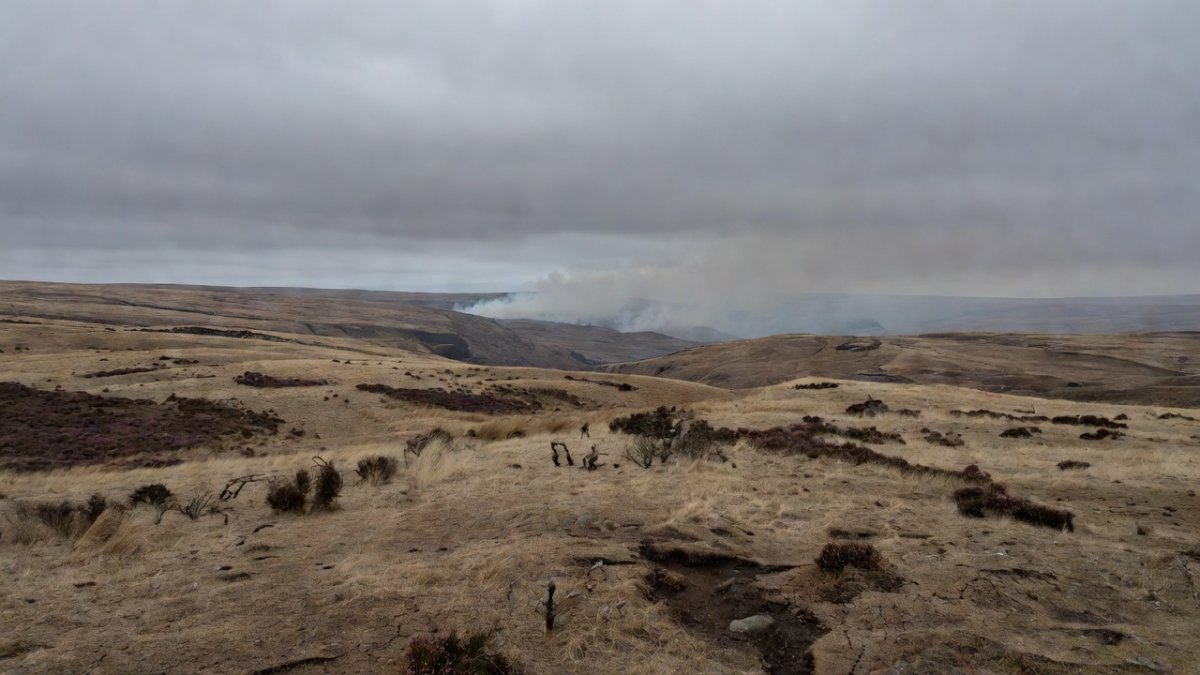 Dry moorland landscape in Derbyshire Peak District during summer heatwave