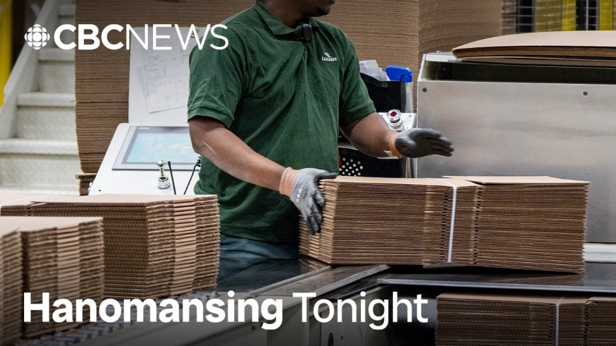 Trump's 50% Tariffs Hit Canadian Small Businesses Hardest: Business Owners Sound Alarm