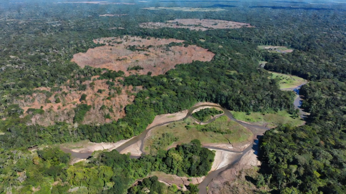 Amazon Drought Crisis Deepens as Trees Emit Never-Before-Detected Chemical Distress Signals