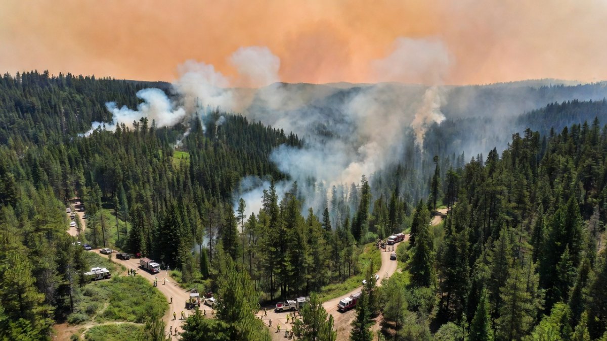 Firefighters working near a wildfire in the British Columbia interior