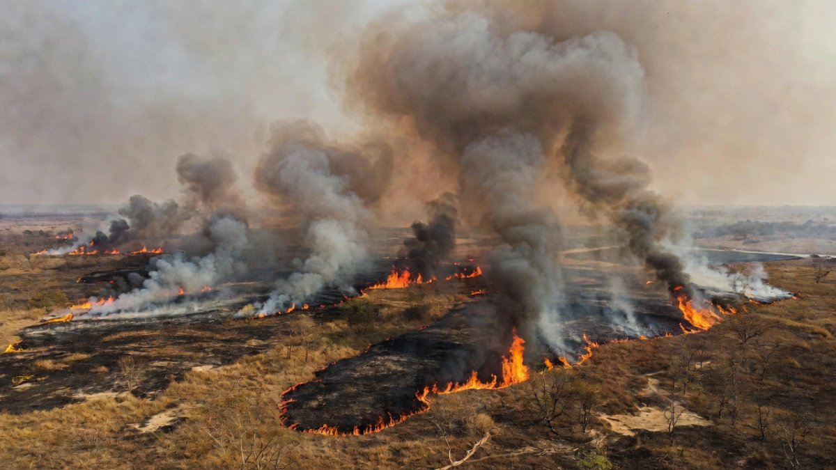 Wildfires Across Hemispheres — Latin America's Diverse...