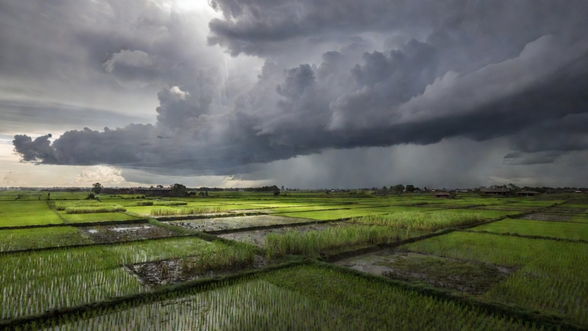Agricultural fields in rural India under monsoon clouds