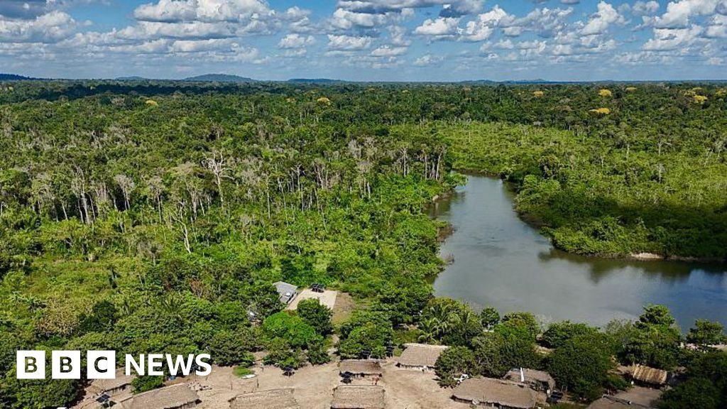 Brazil's Amazon Sees Sharp Decline in Burned Area in 2025