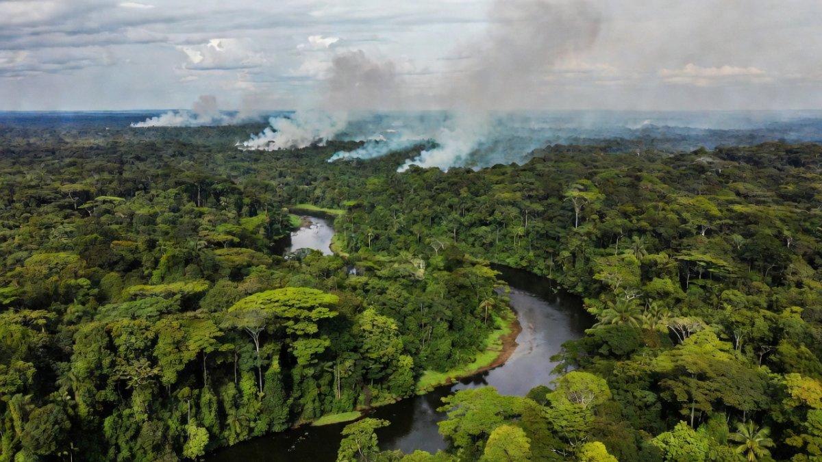 Brazil Amazon Drought and Fires Threaten Hard-Won Gains