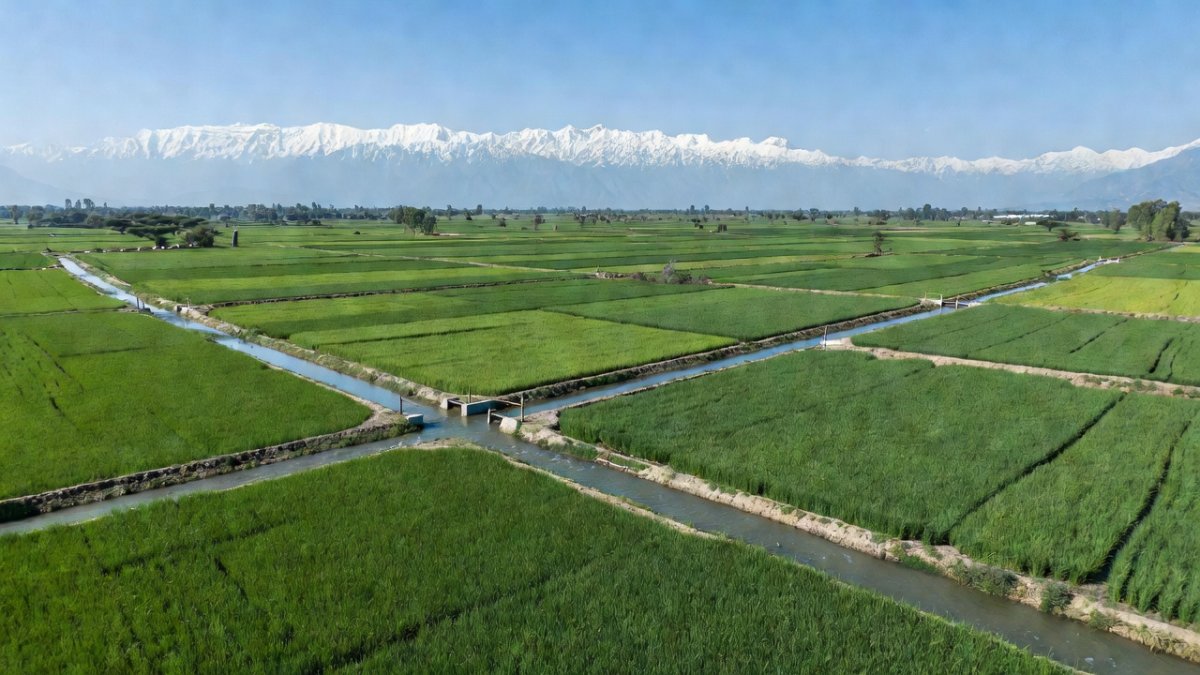 Farmers in Punjab checking irrigation canals fed by Himalayan rivers