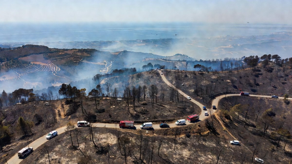 Spanish emergency services coordinating response under state of emergency declaration