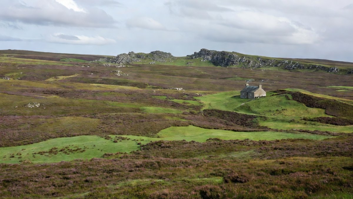 Devon and Cornwall Police at the scene near Haytor