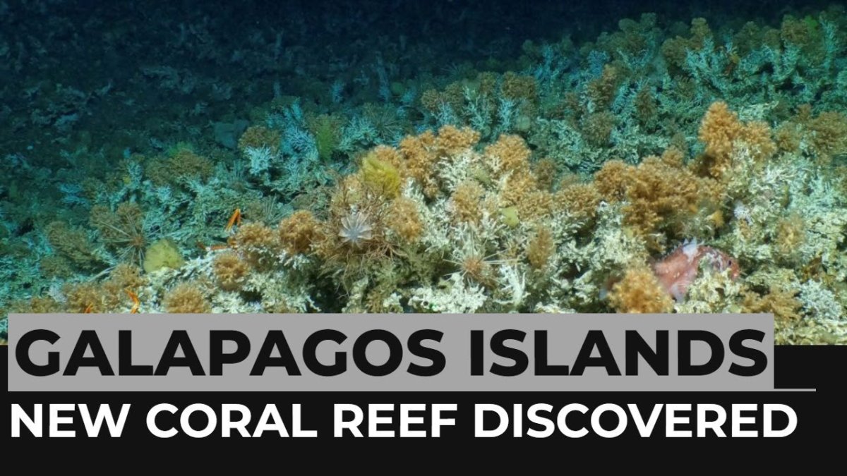 Galapagos Deep-Sea Reefs: Hope and Warning for Latin America