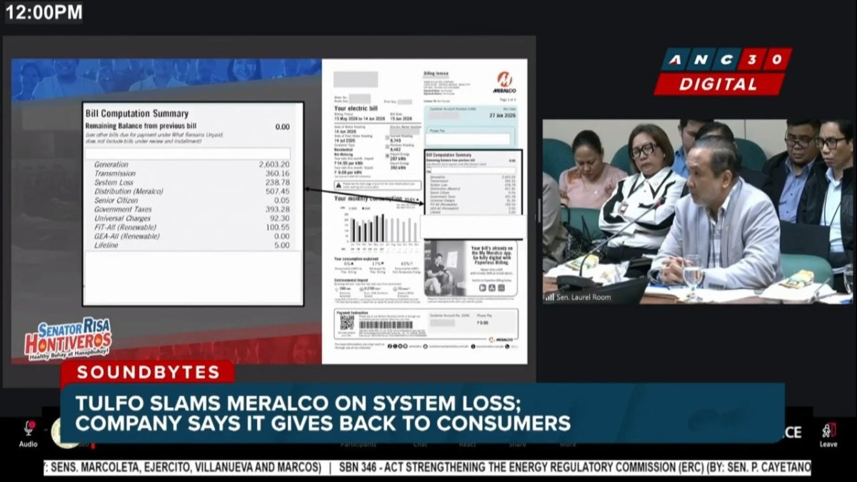 A Philippine electric bill showing the system loss charge line item passed on to consumers
