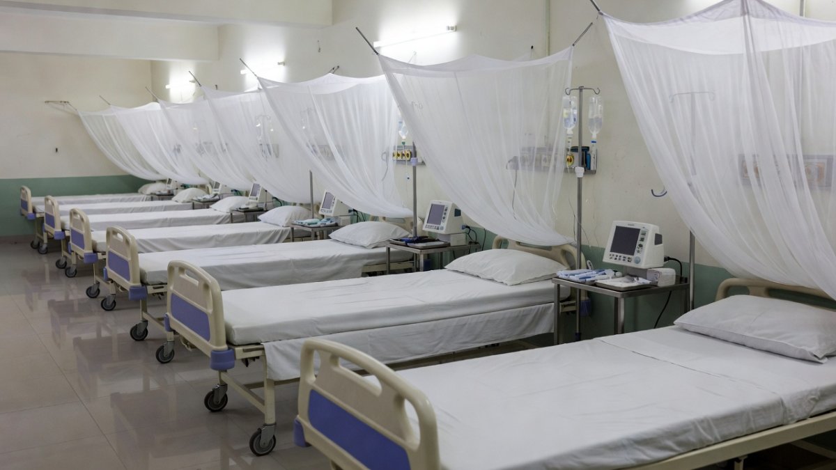 Dengue patients in Indian hospital ward