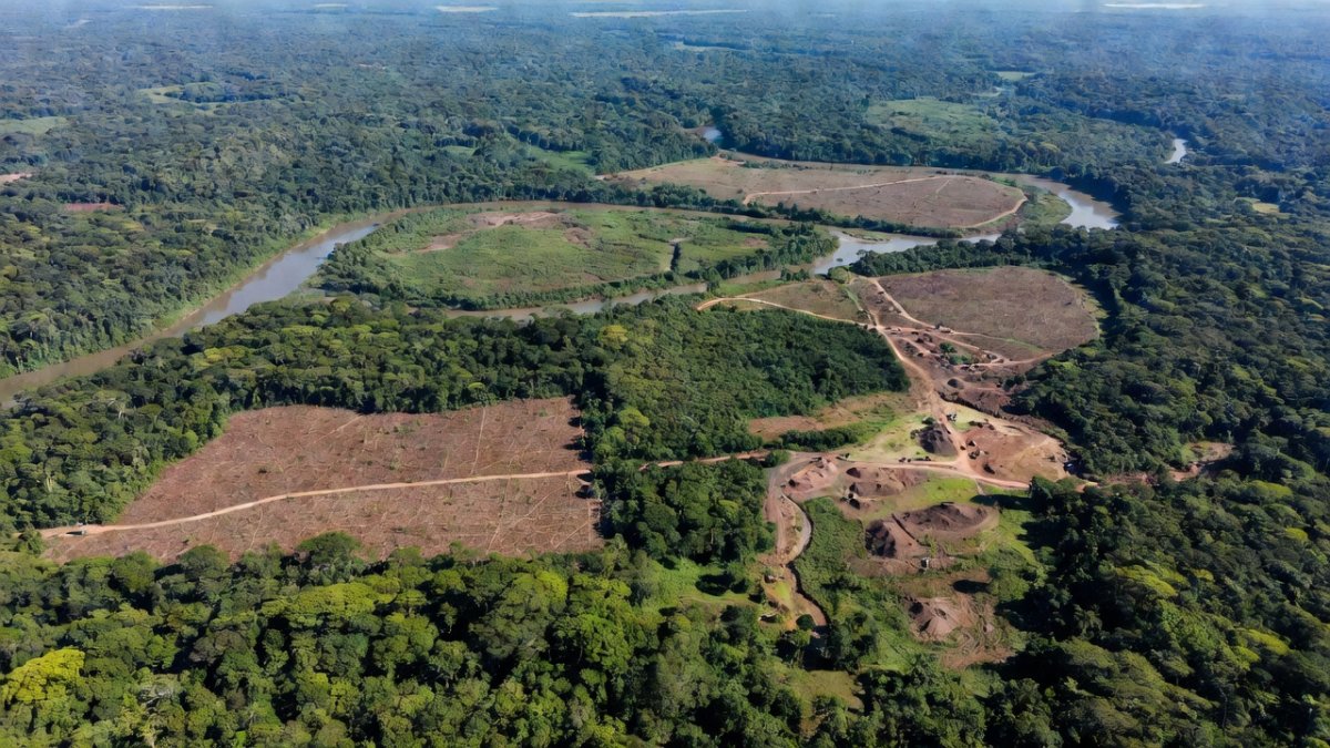 Deforested areas near mining operations in the Peruvian Amazon