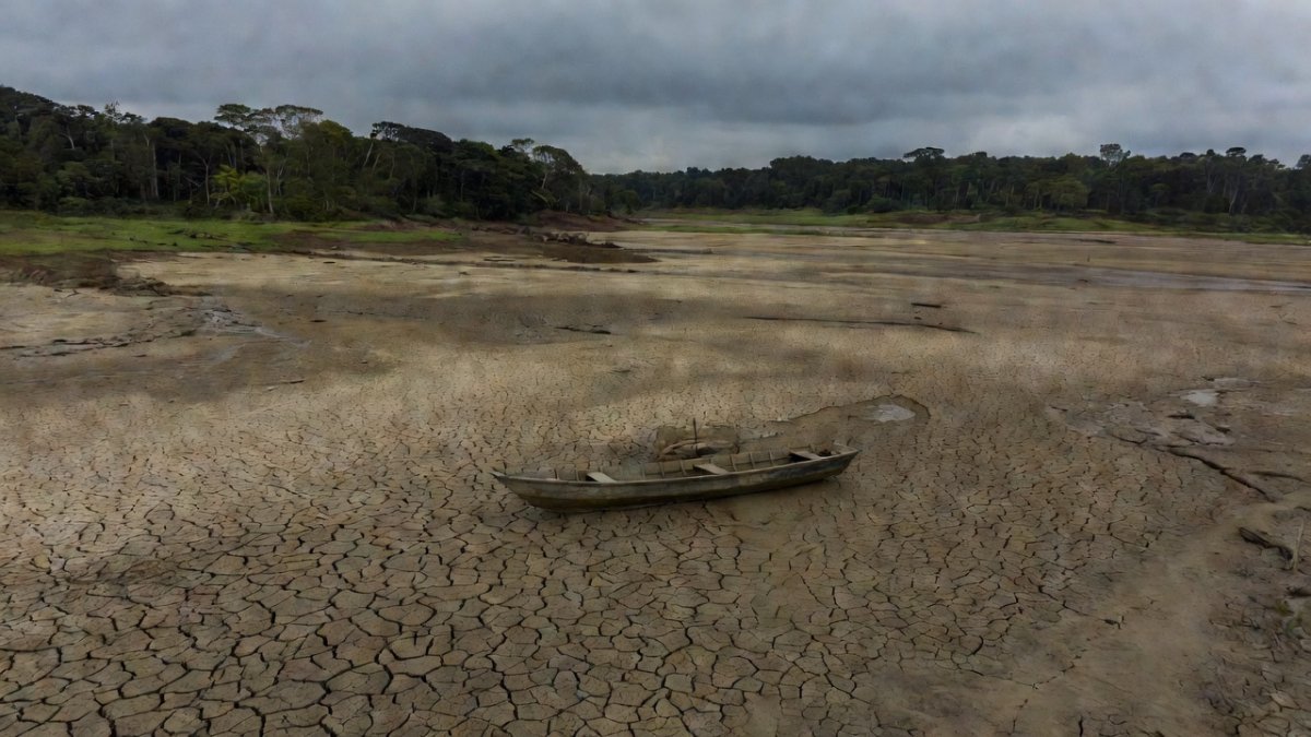 Climate Displacement in Latin America: Millions Forced to Flee as Droughts, Floods, and El Niño Collide