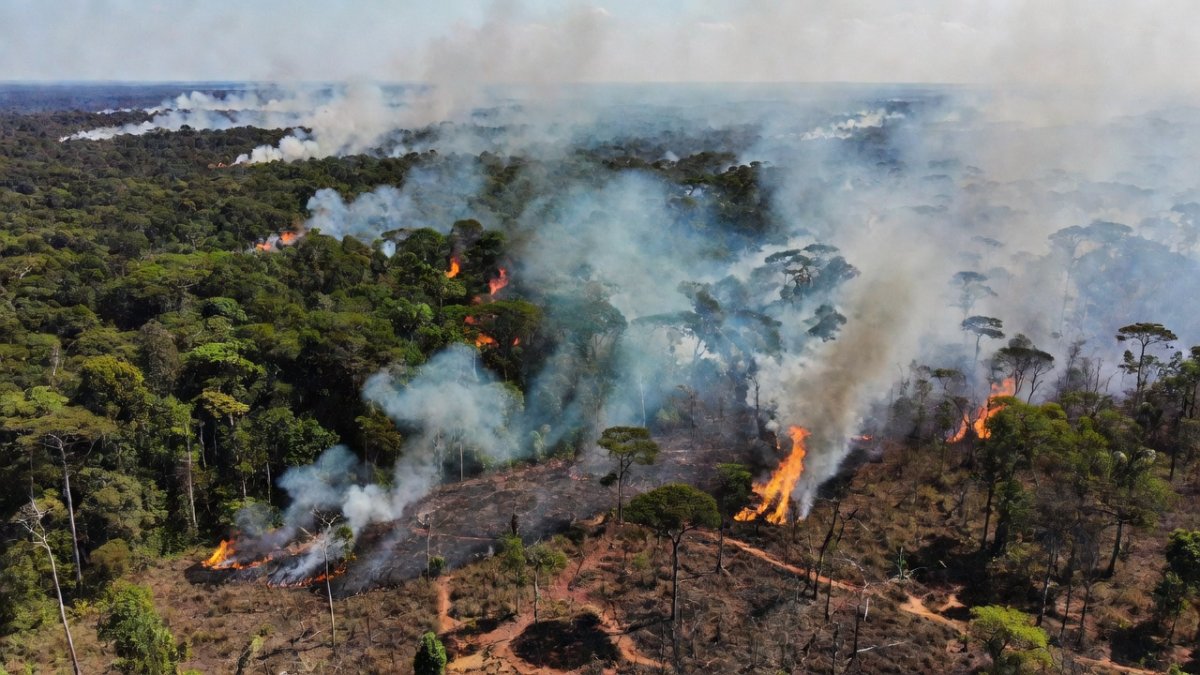 What climate records did we break in 2024? Latin America's year of extremes