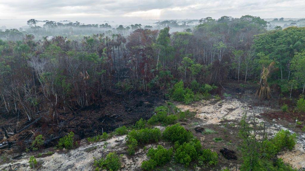 Amazon Fires Hit Record Low in Brazil's Rainforest