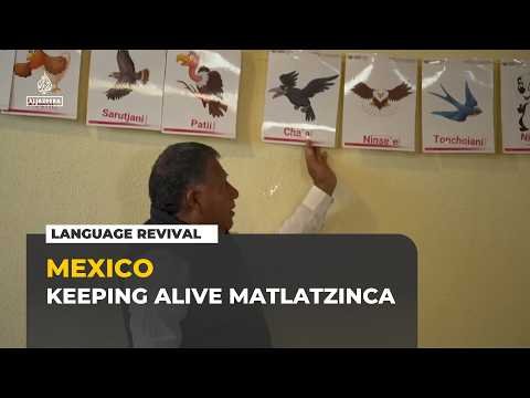 Children learning Matlatzinca language in a Mexican Indigenous classroom