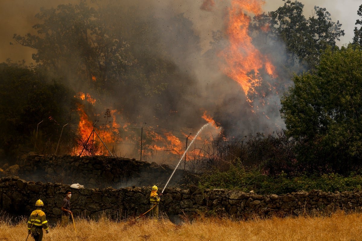 Bordeaux Wildfires: 15km from City, Evacuation Considered