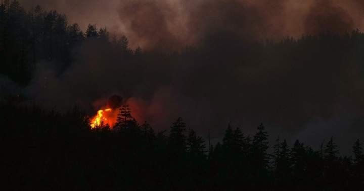 BC Wildfire Emergency: Lightning Sparks 100+ Blazes