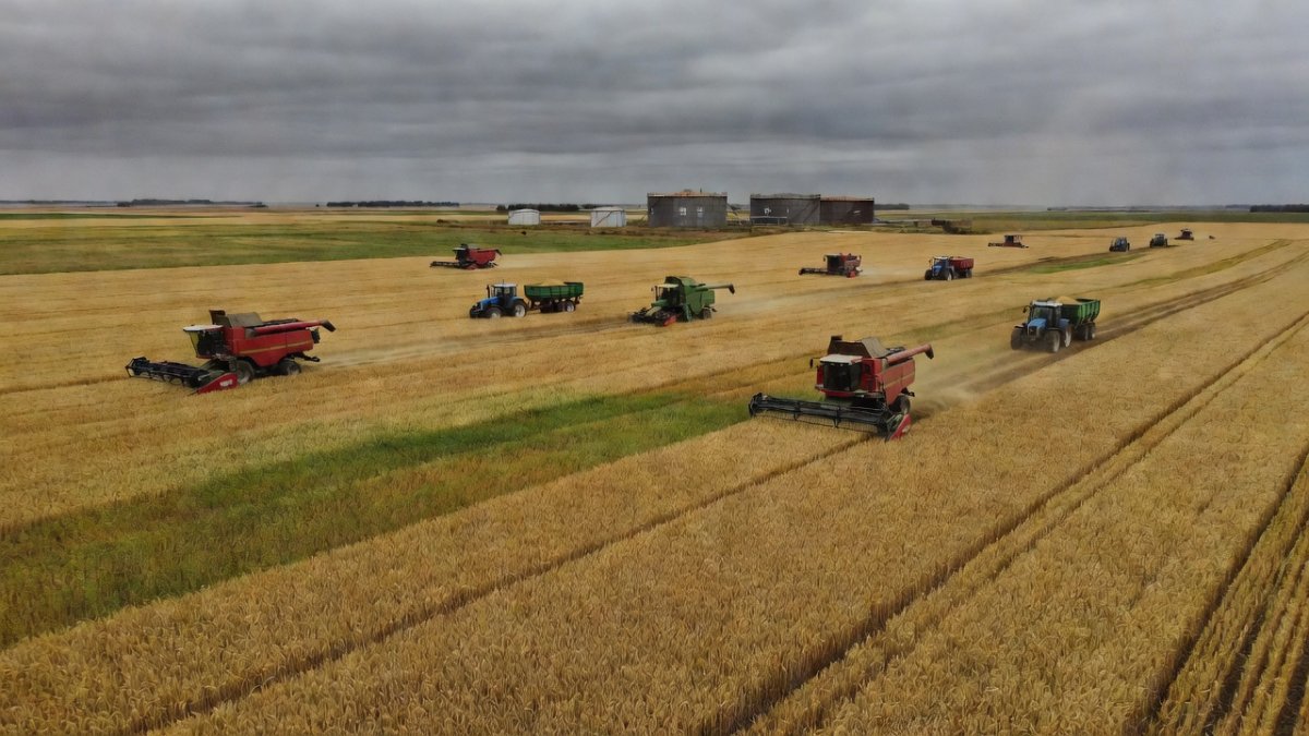 Russia Fuel Crisis Threatens Harvest as Refinery Strikes Hit Farms