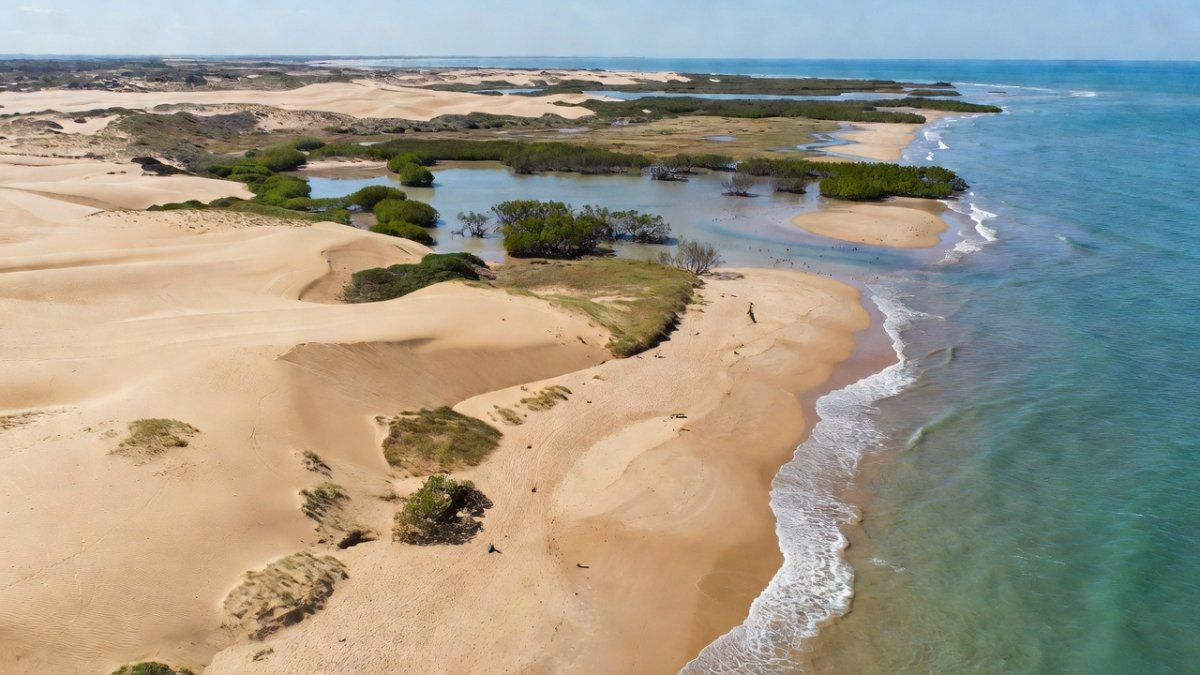Protected coastal ecosystem at Playa Las Cocinas, Nayarit