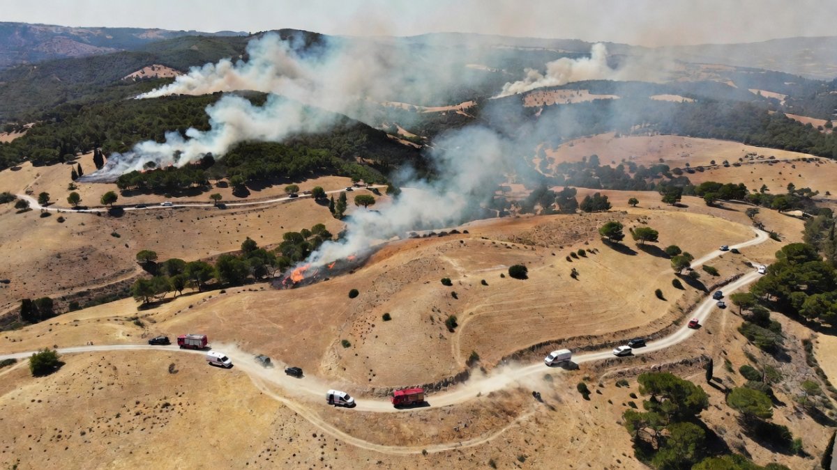 Europes Extreme Heatwave Sparks Wildfires From Spain to the UK
