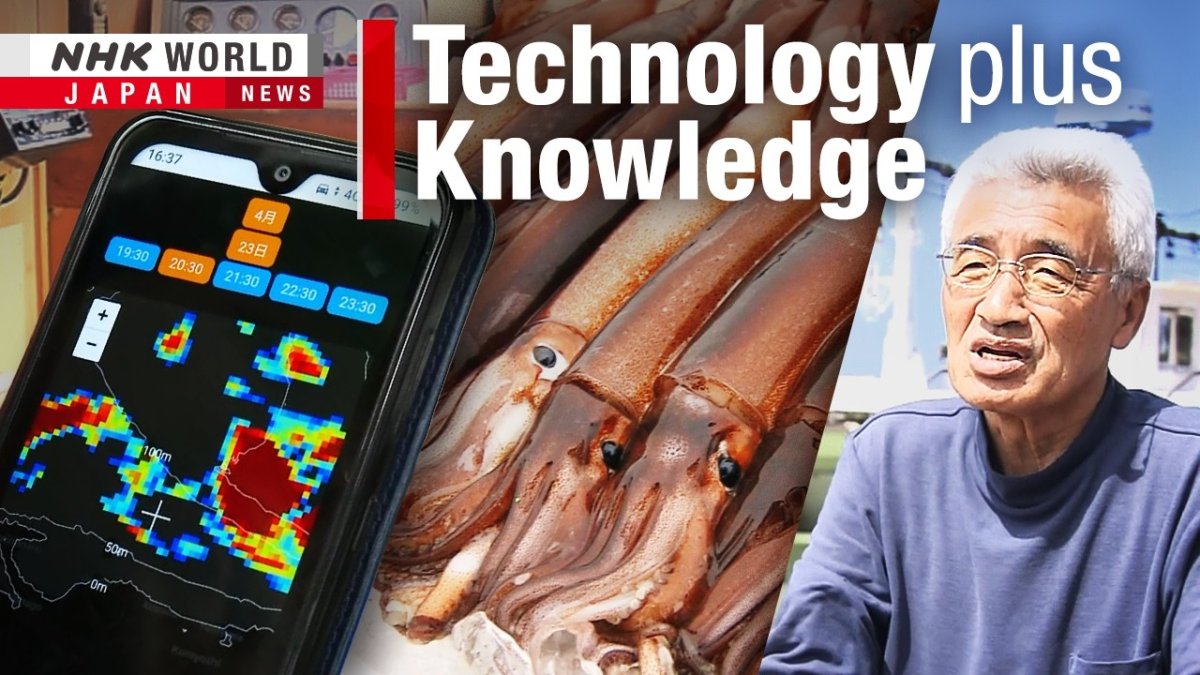NHK WORLD-JAPAN video thumbnail showing Japanese flying squid research