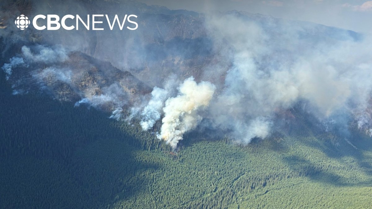 Ontario BC Wildfires Spur National Strategy Push