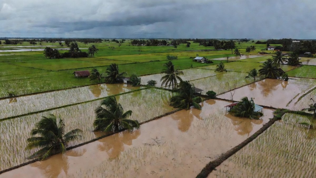 Floods Devastate Mindanao Farmlands After Typhoon Inday, 17 Dead