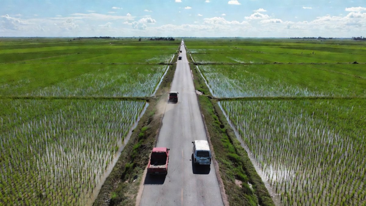 Quiet road in Suphan Buri province surrounded by rice fields, central Thailand