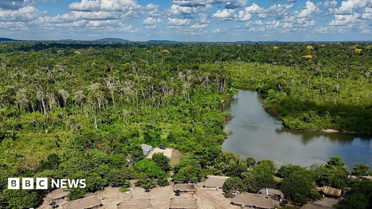 Amazon Fires Plummet 80 Percent as 2025 Brings Historic Relief to Brazil's Rainforest