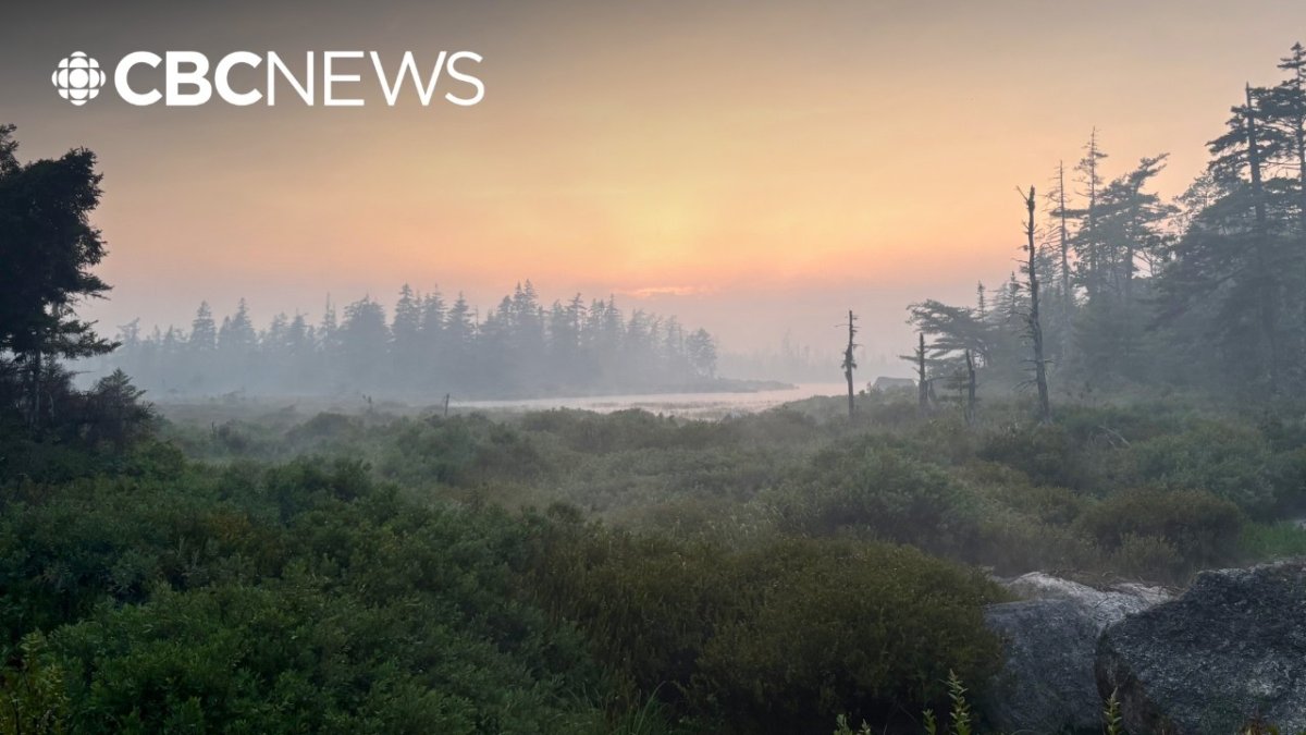 Nova Scotia Wildfire Forces Eastern Shore Evacuations