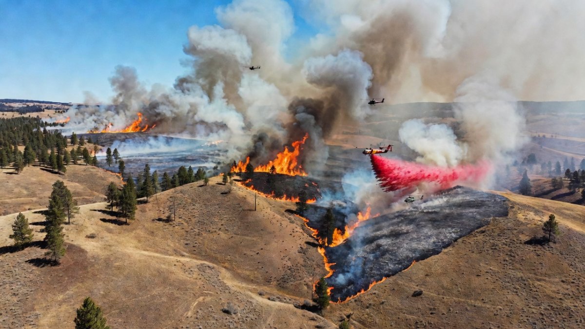 Chelan Hills Fire Explodes Across Washington, Destroying Dozens of Homes During July 4 Weekend