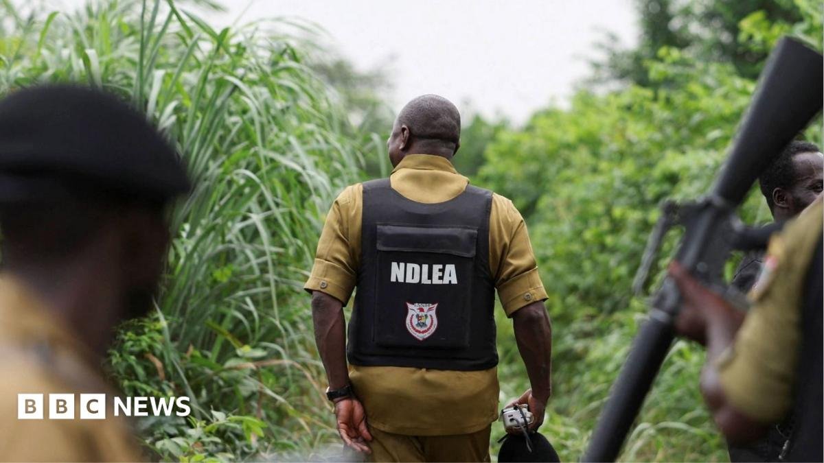 Mexican Cartels Expand Meth Labs from Mexico into Nigeria