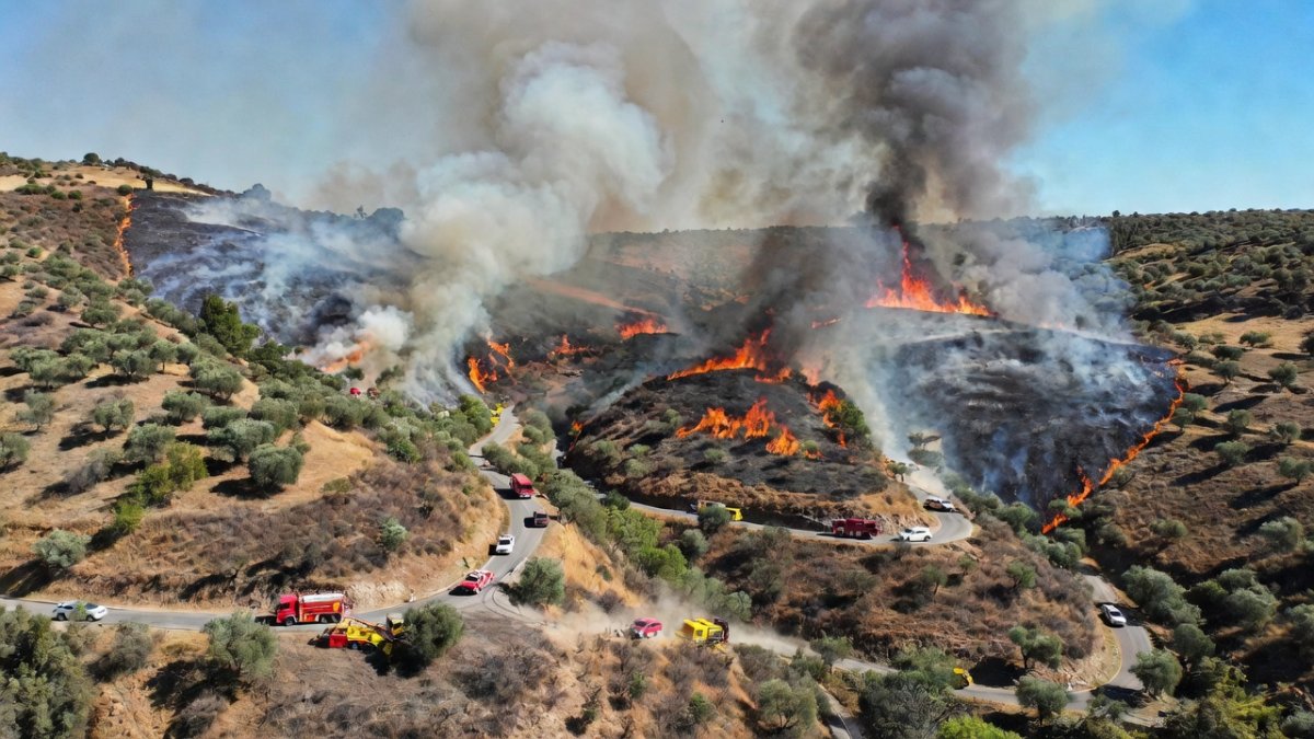 Spain Wildfire Kills 12, 23 Missing in Almería — The Region's Deadliest-Ever Blaze