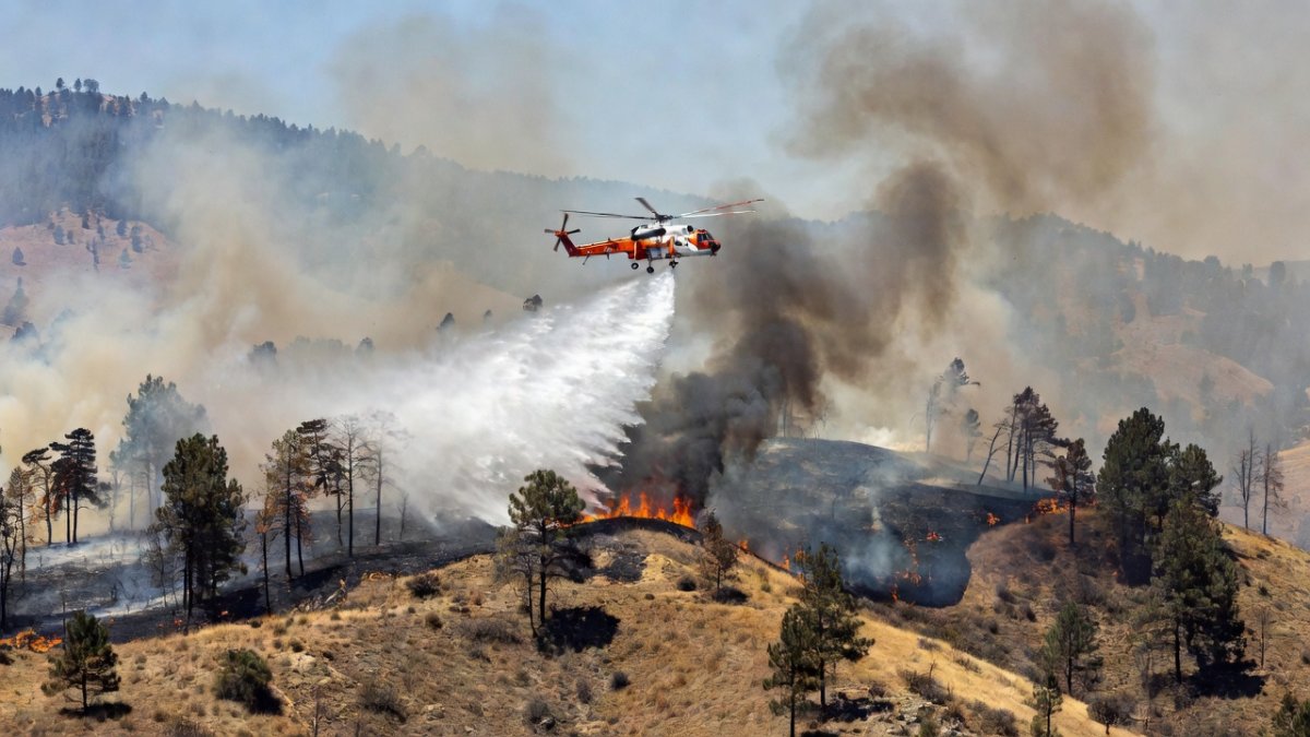 Firefighting aircraft and crews battling wildfire in dry forested hills of the Pacific Northwest