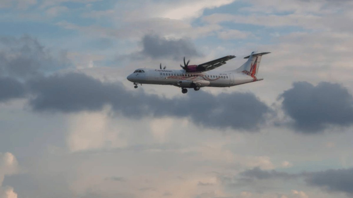 Caribbean Airlines Cuts Direct Trinidad-Barbados Flights: What It Means for Travellers