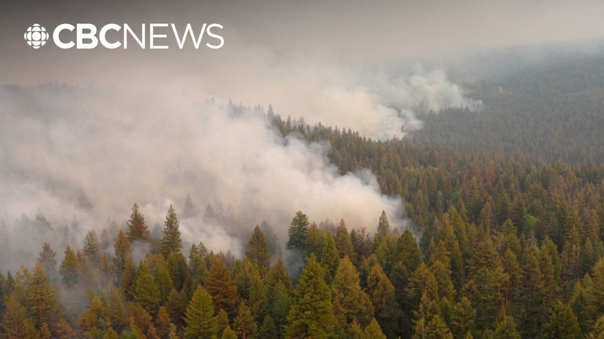 B.C. Wildfire Risk 'Very Real' as Summerland Returns Home