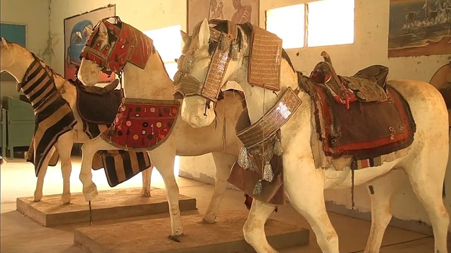 Demsa Museum: Cameroon's Living Tribute to the Horse