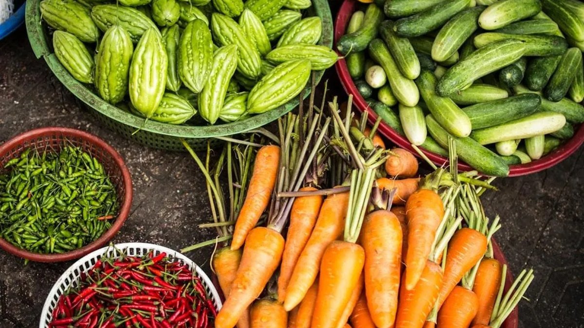 Farm tours and agritourism experiences in the US Virgin Islands