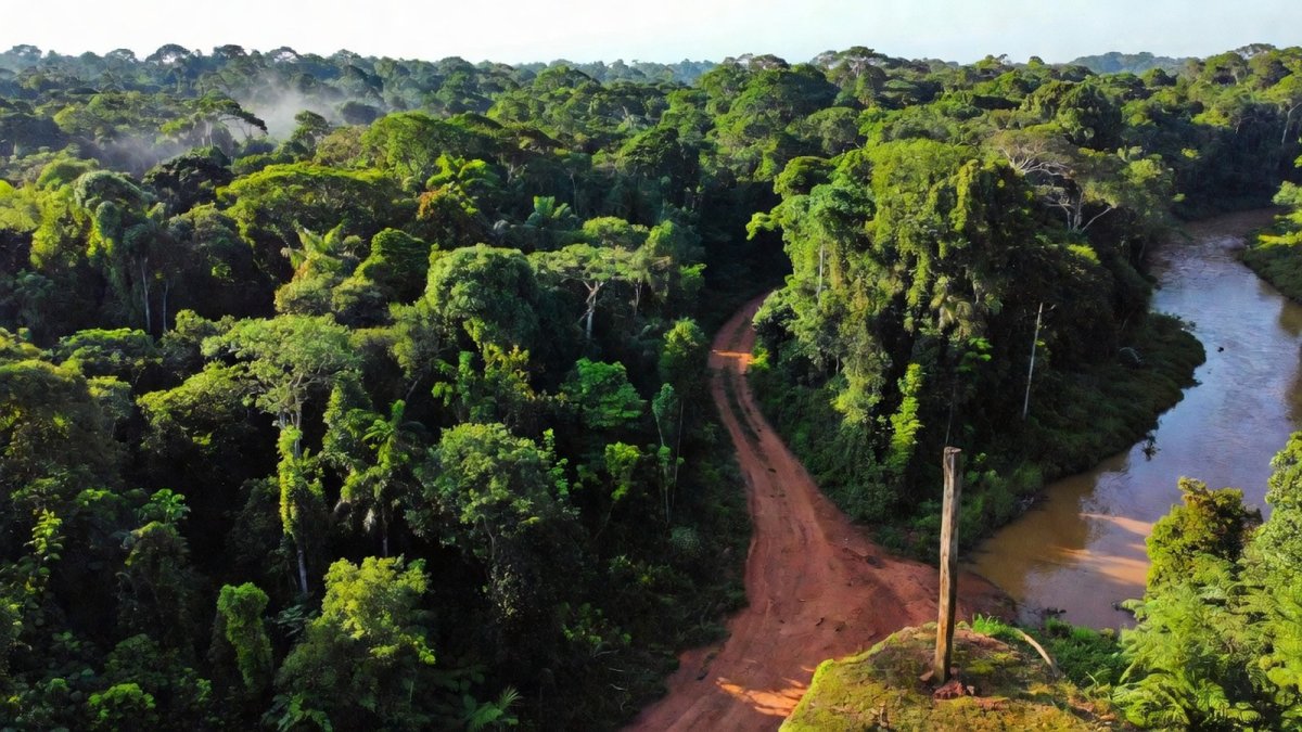 Kawahiva Land Step Forward Meets APIB Climate Push