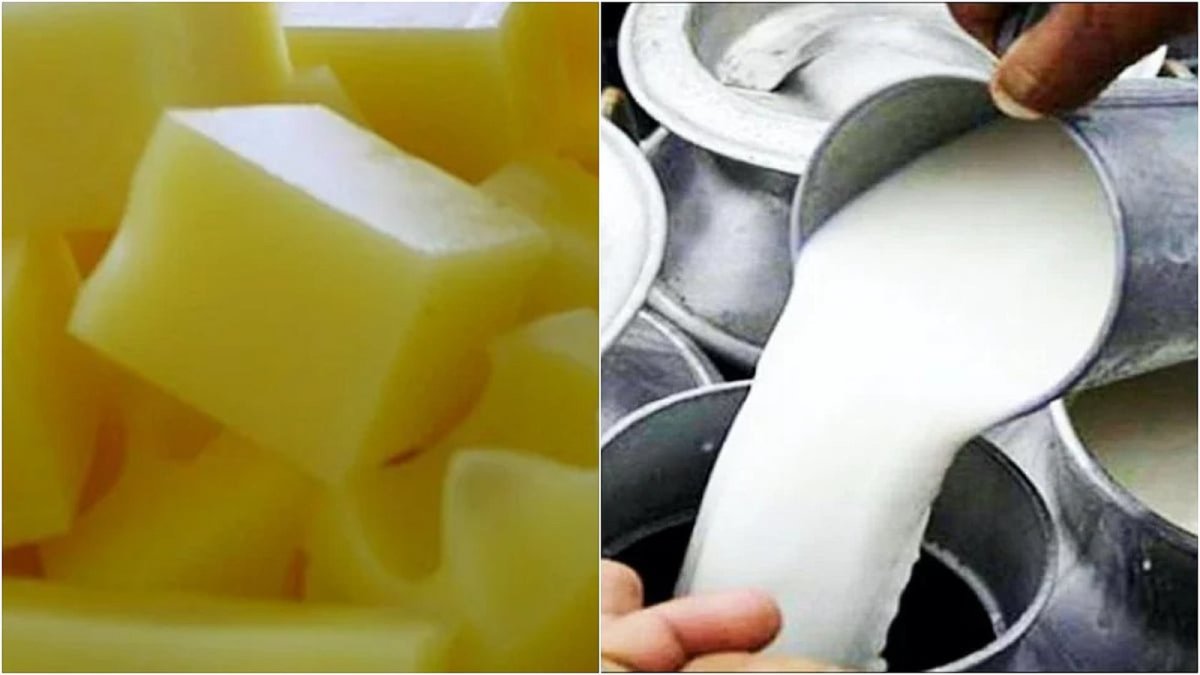 Maharashtra FDA officials inspect seized dairy products during the festive-season food adulteration crackdown in Mumbai