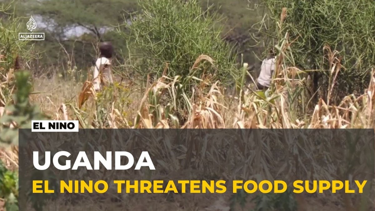 El Niño Threatens to Push 49 Million More Into Hunger