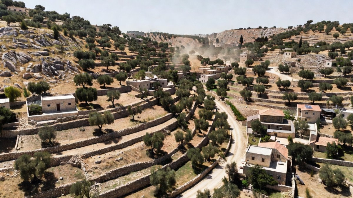 Rocky hillsides and olive terraces near Sinjil in the occupied West Bank