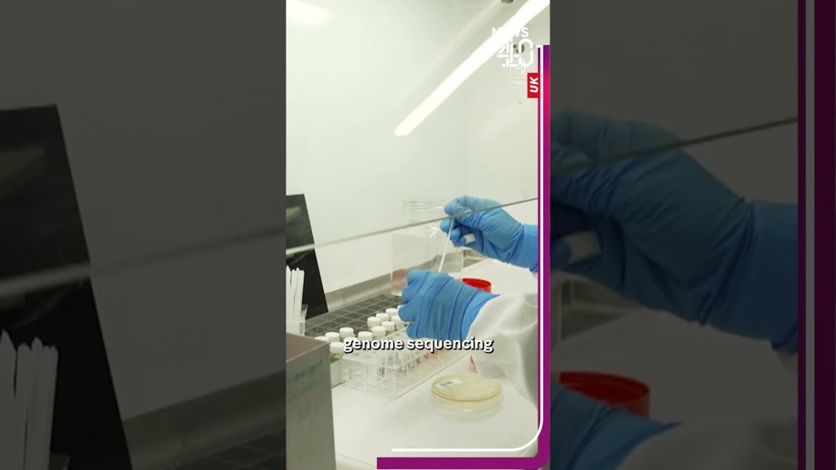 UK Salmonella Outbreak Linked to Imported Eggs: 474 Cases