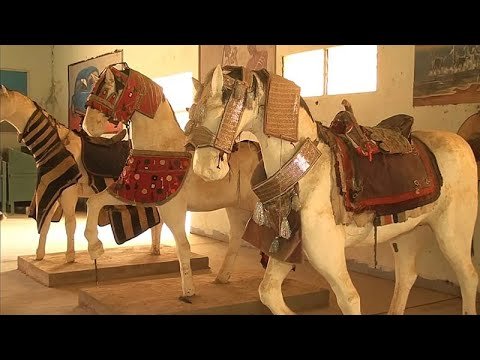 Equestrian traditions remain central to the Demsa Museum and the monthly gymkhana competitions in northern Cameroon