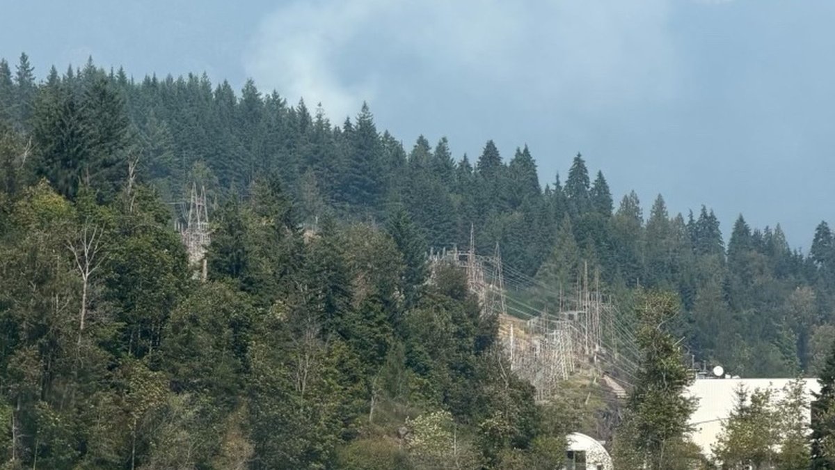 Aerial view of the wildfire burning in Belcarra Regional Park on Aug. 5, 2026, showing smoke columns over the forested waterfront park