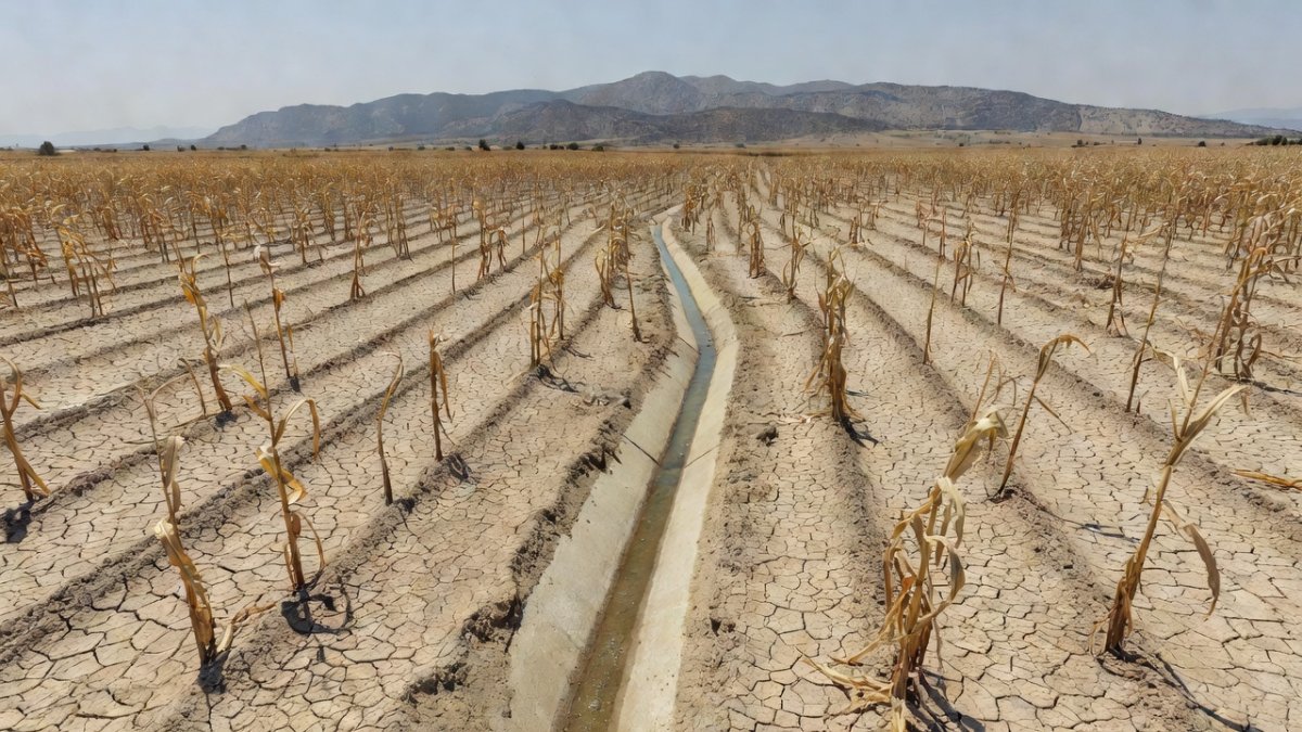 Global Food Crisis Deepens as El Niño Threatens Mexico's Tortillas and Harvests
