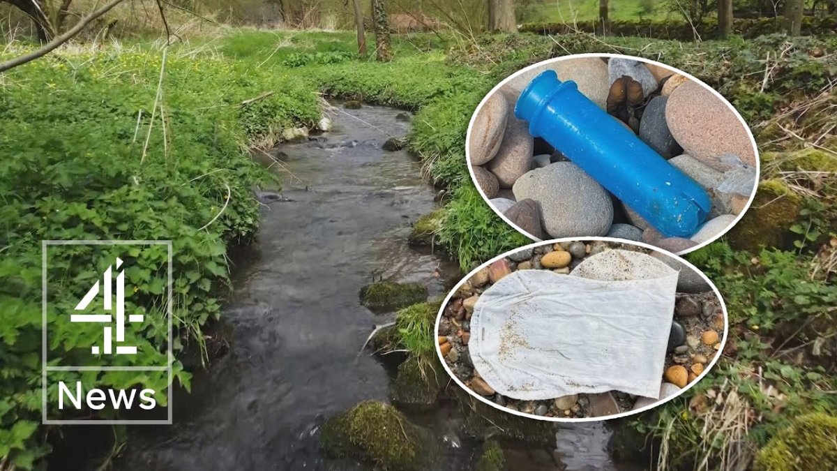 Water Companies Face Record Pollution Year as Ofwat Approves £3.4bn Bill Rise