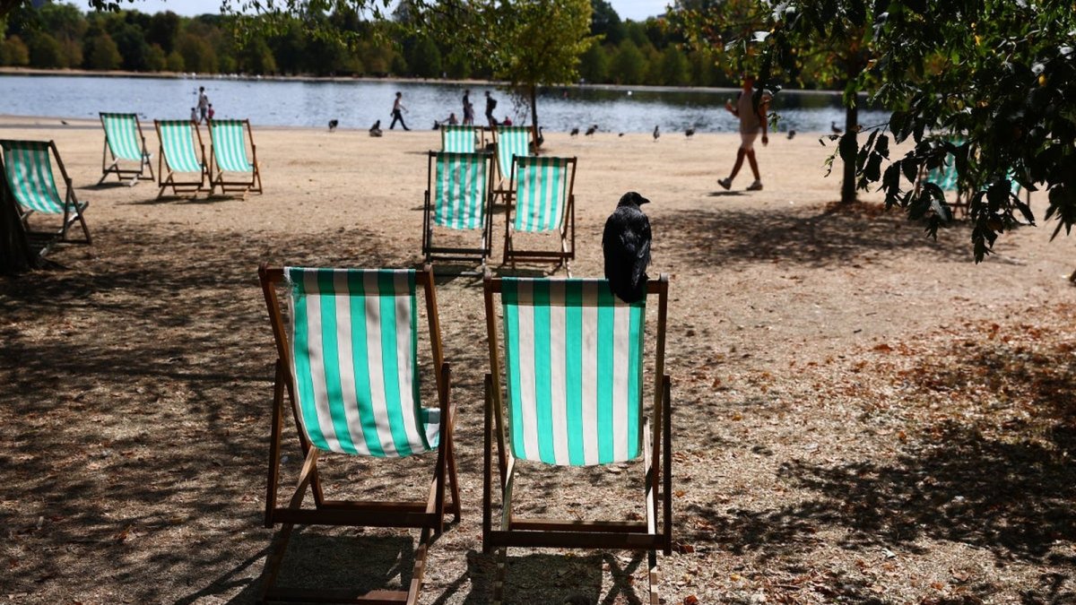 UK Heatwave: Amber Health Alerts as Britain Braces for 36C