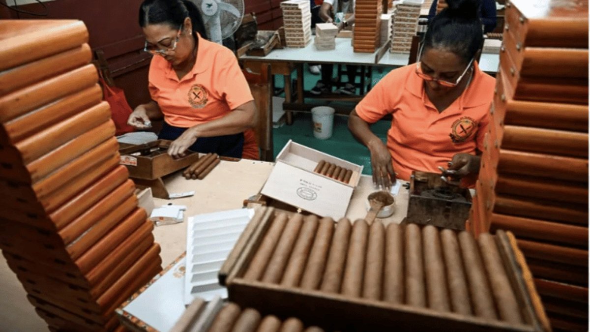 Burnham's 'Smoke-Free Britain' Policy Worries Cuba and Dominican Republic
